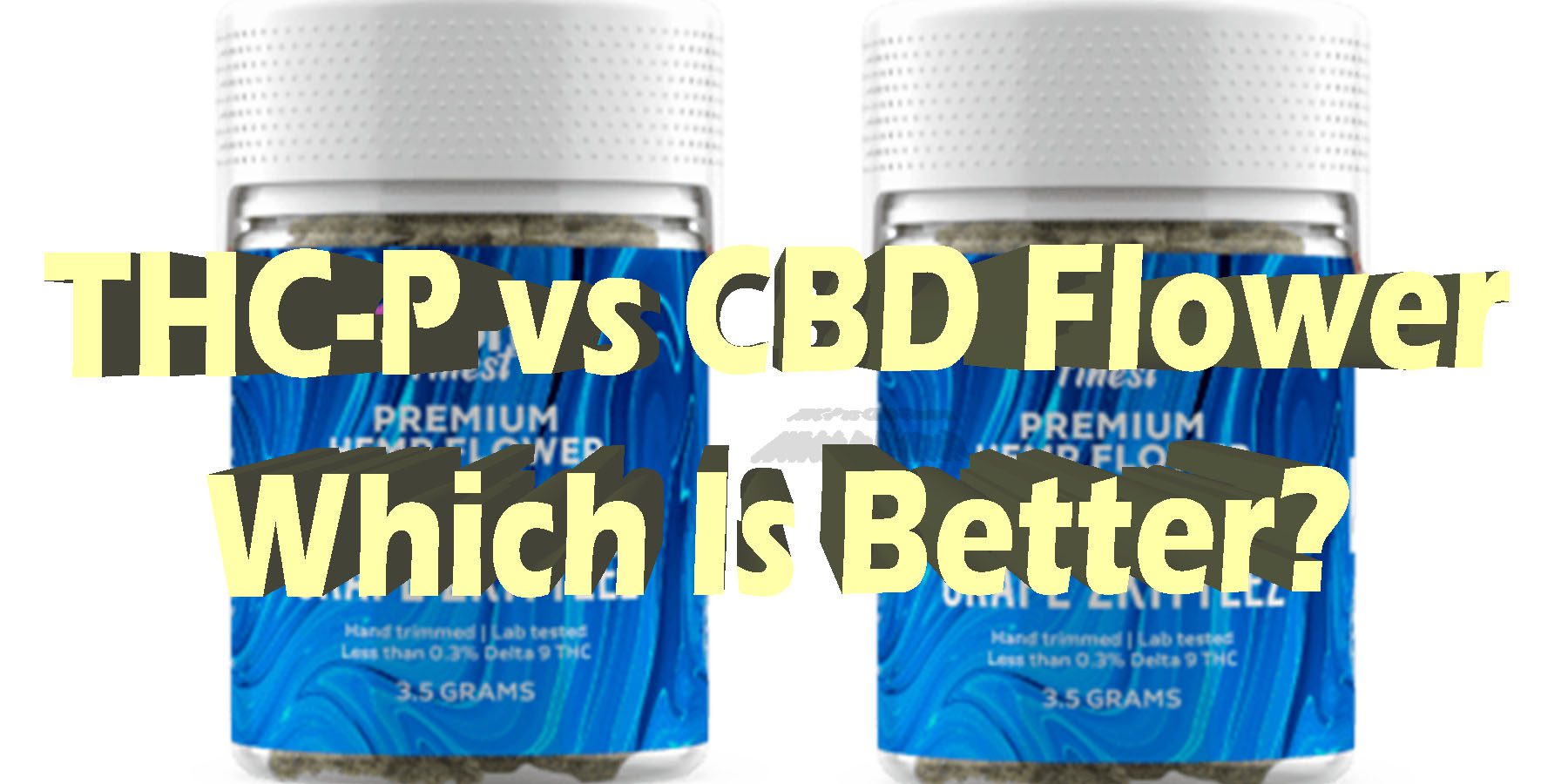 THC P VS CBD Flower BetterHowToGetNearMe BestPlace LowestPrice Coupon Discount For Smoking Best Brand THCA Indoor Good Binoid