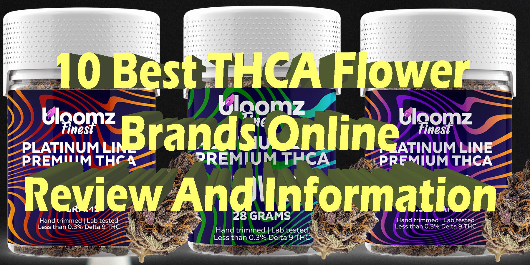 10 Best THCA Flower Brands Online Review And Information HowToGetNearMe BestPlace LowestPrice Coupon Discount For Smoking Best Brand D9 D8 THCA Indoor Good Binoid