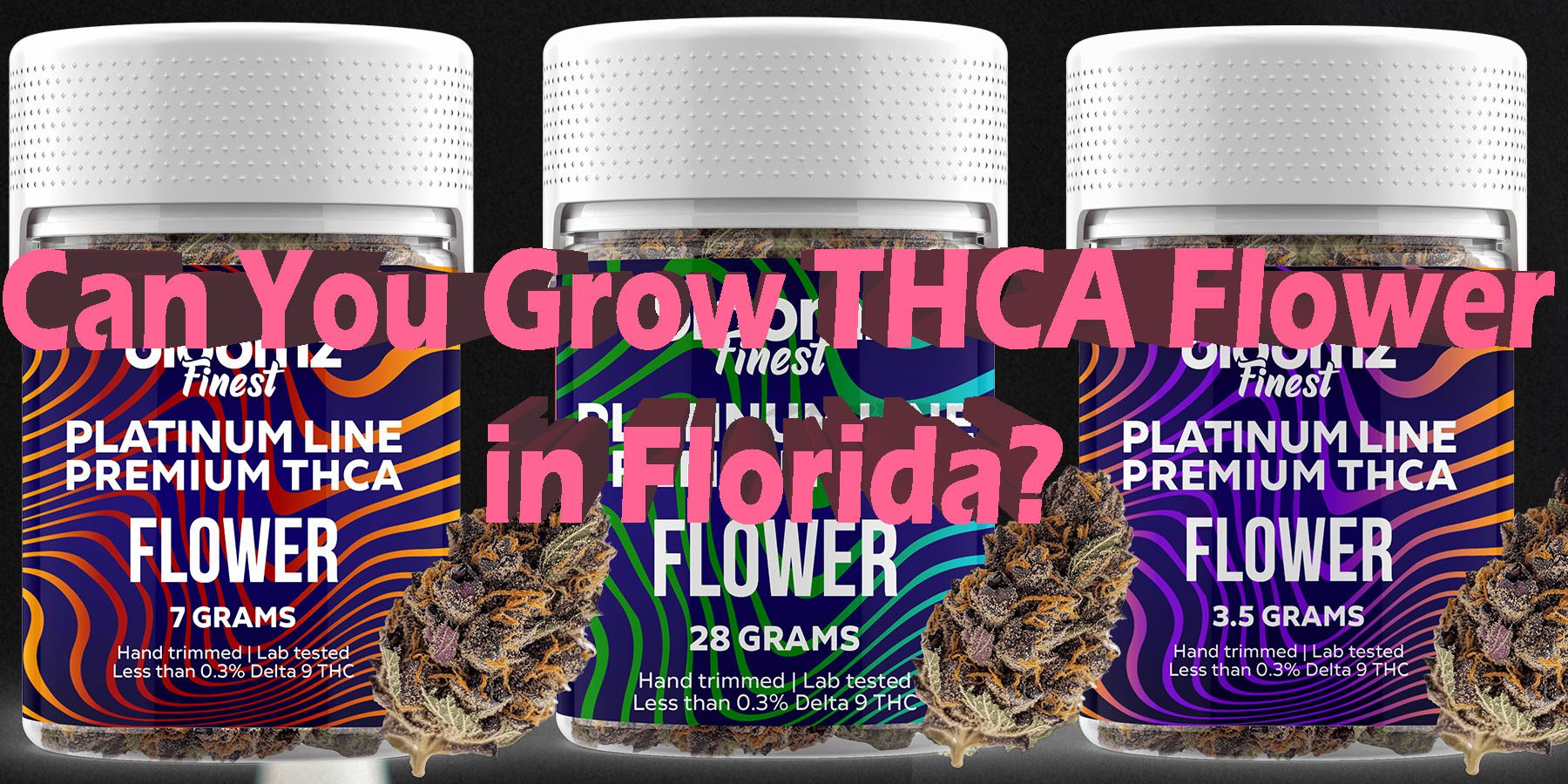 Can You Grow THCA Flower in Florida HowToGetNearMe BestPlace LowestPrice Coupon Discount For Smoking Best Brand D9 D8 THCA indoor Good Binoid