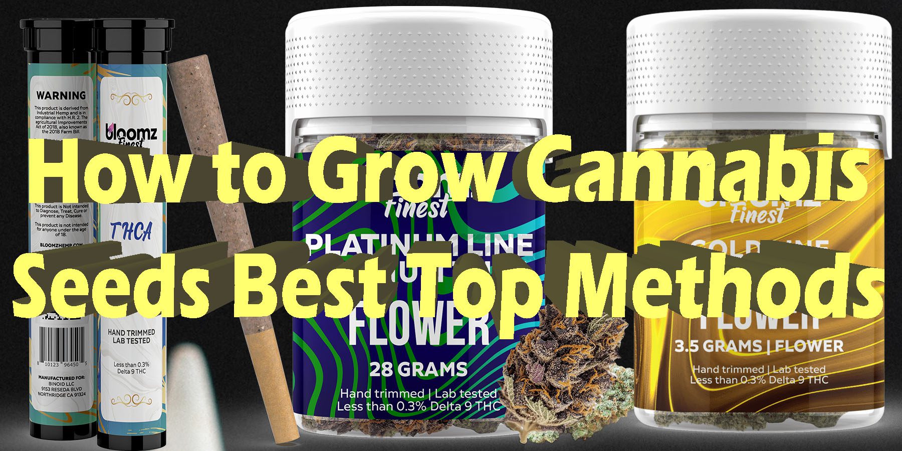 Where to Buy Cannabis Seeds in New York HowToGetNearMe BestPlace LowestPrice Coupon Discount For Smoking Best Brand D9 D8 THCA Indoor Biniod.