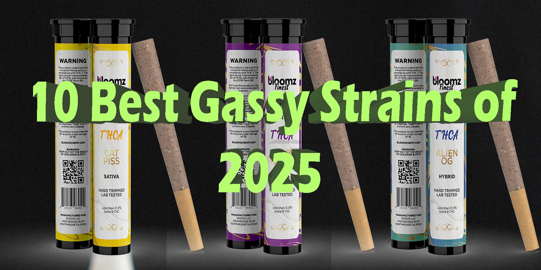 10 Best Gassy Strains of 2025 HowToGetNearMe BestPlace LowestPrice Coupon Discount For Smoking Best Brand8