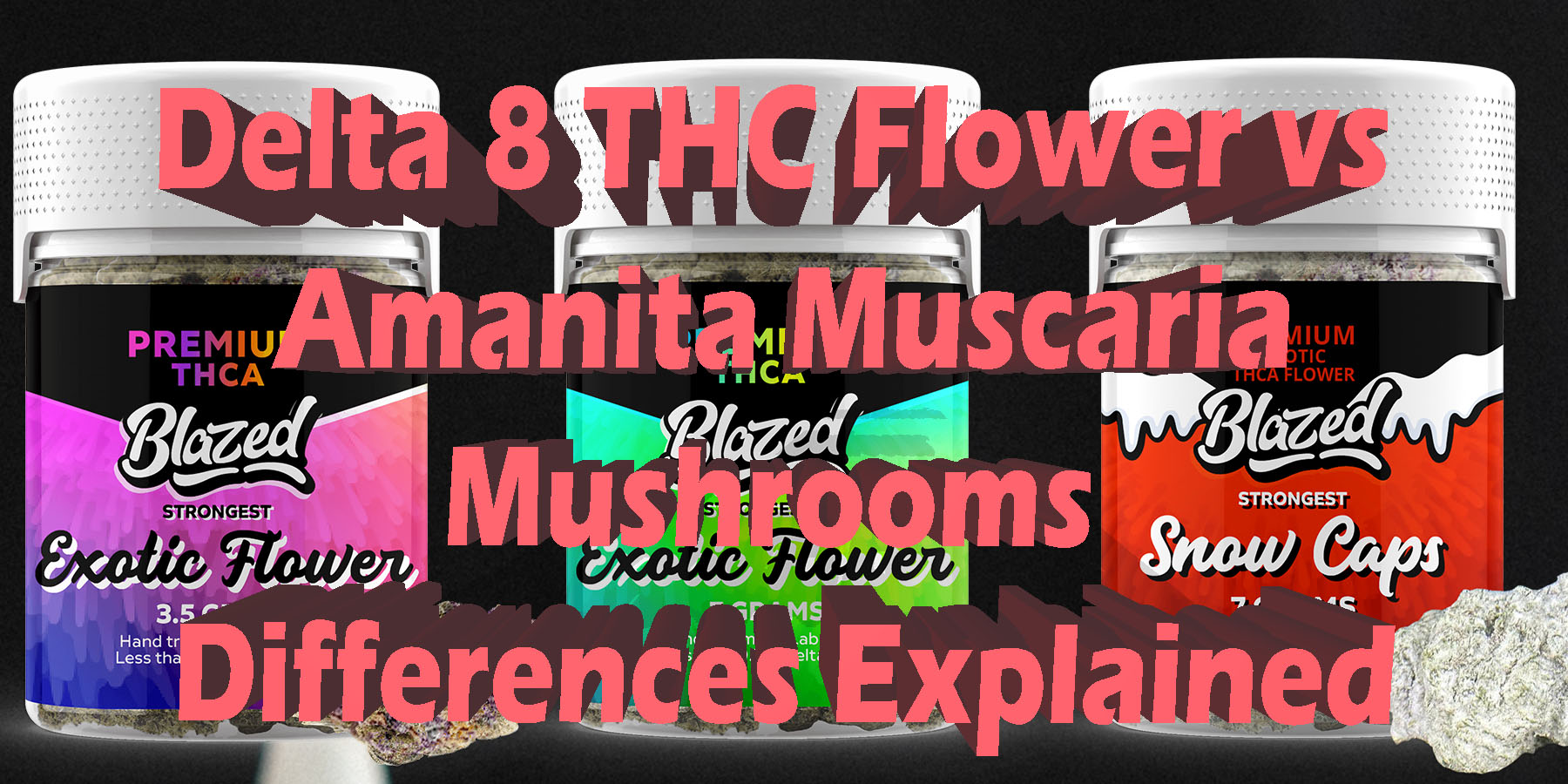 Delta 8 THC Flower vs Amanita Muscaria Mushrooms Differences Explained HowToGetNearMe BestPlace LowestPrice Coupon Discount For Smoking Best Brand D9 D8