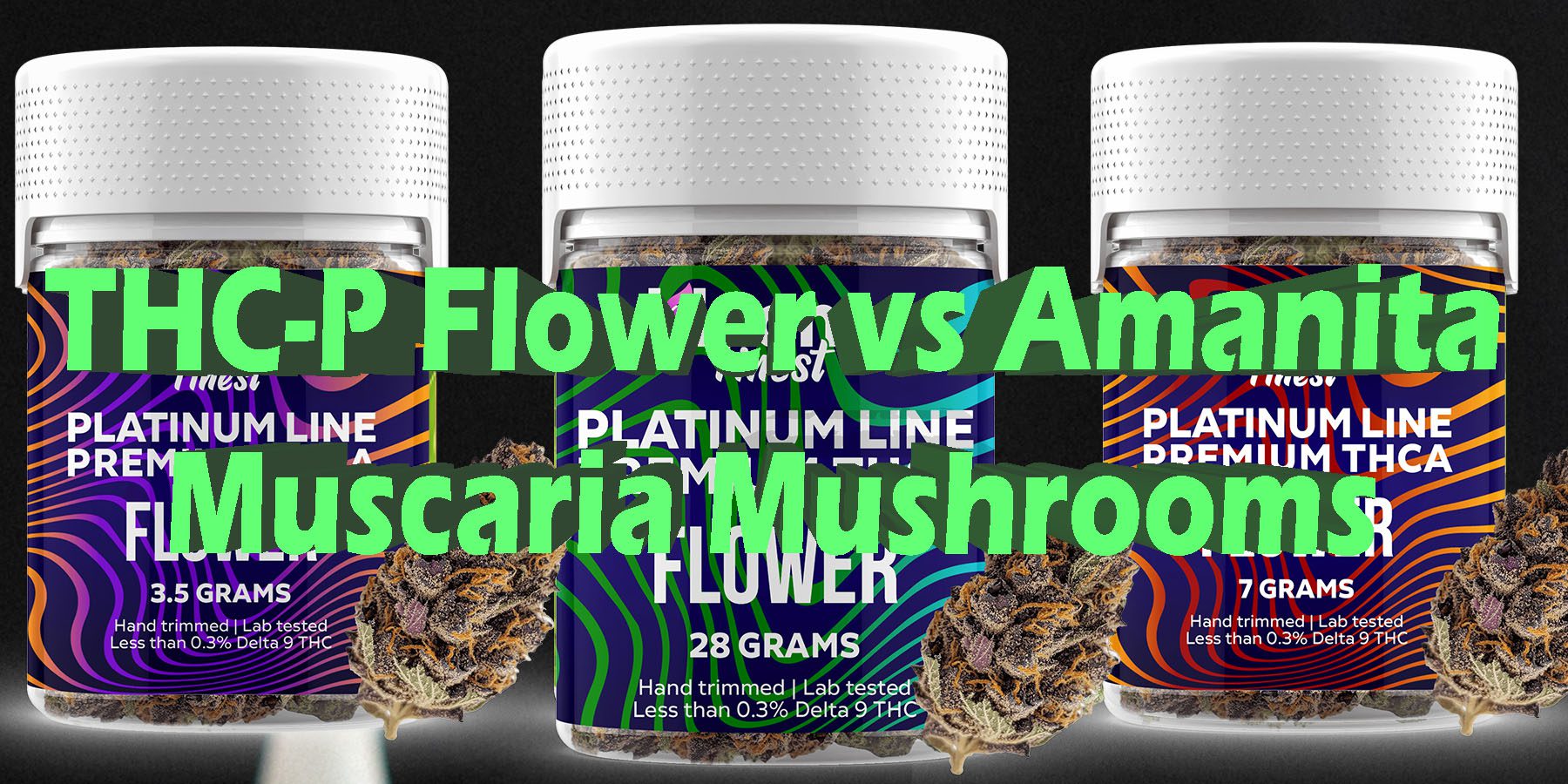 THC P Flower vs Amanita Muscaria Mushrooms HowToGetNearMe BestPlace LowestPrice Coupon Discount For Smoking Best Brand D9 D8 THCA Indoor Good Binoid.