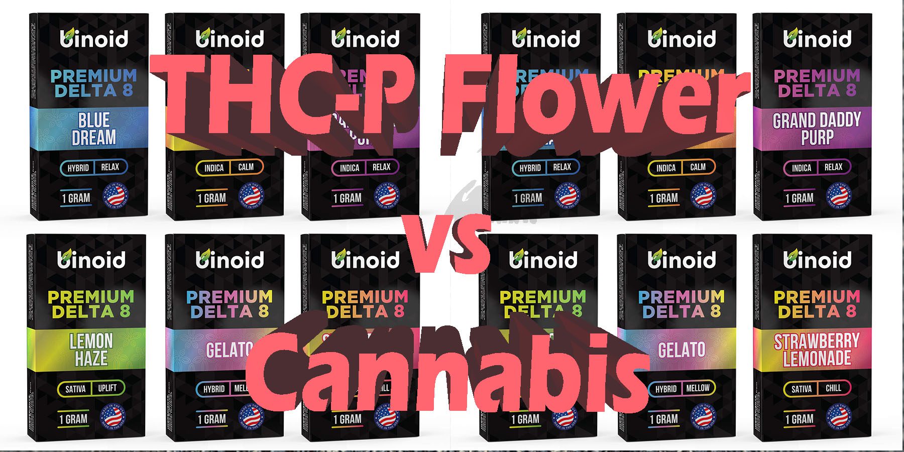 THC P Flower vs Cannabis HowToGetNearMe BestPlace LowestPrice Coupon Discount For Smoking Best Brand D9 D8 THCA Indoor Good Binoid.